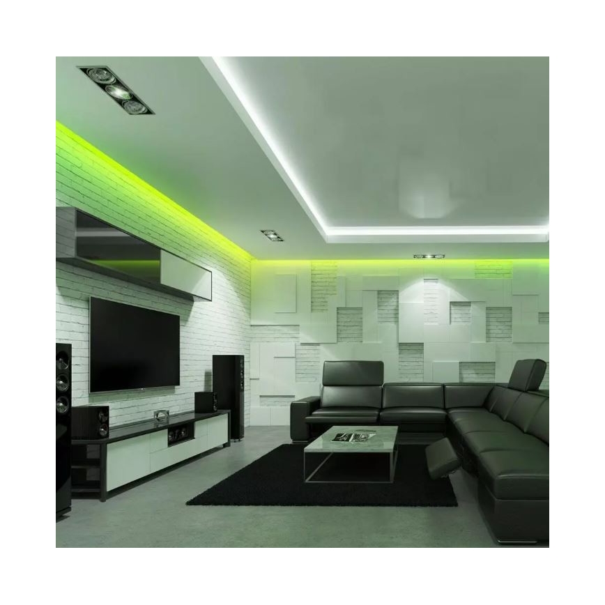 LED RGB Dimmable strip 2x5m LED/48W/230V + remote control