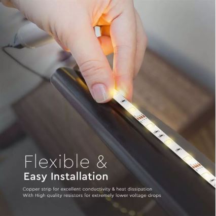 LED RGB Dimmable strip 2x5m LED/48W/230V + remote control