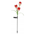 LED RGB solar decorative light 3xLED/3.7V 200 mAh IP44 tulip