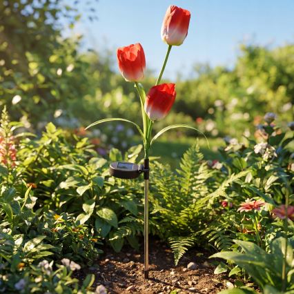 LED RGB solar decorative light 3xLED/3.7V 200 mAh IP44 tulip
