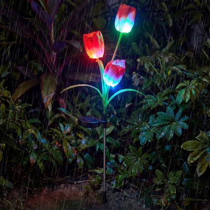 LED RGB solar decorative light 3xLED/3.7V 200 mAh IP44 tulip