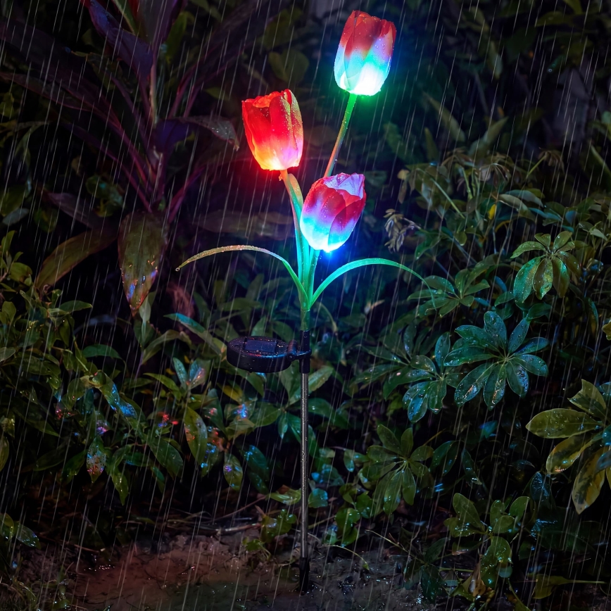 LED RGB solar decorative light 3xLED/3.7V 200 mAh IP44 tulip