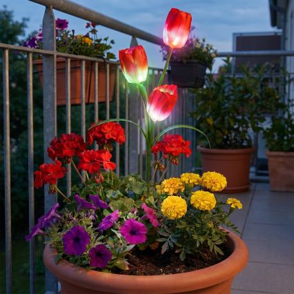 LED RGB solar decorative light 3xLED/3.7V 200 mAh IP44 tulip