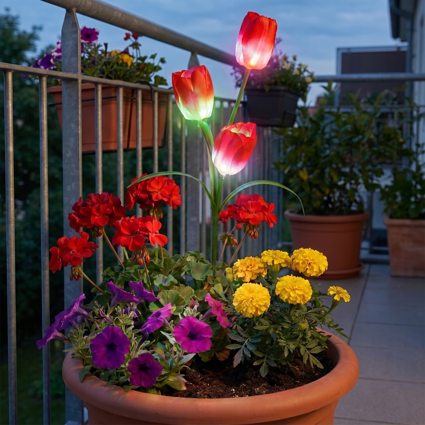 LED RGB solar decorative light 3xLED/3.7V 200 mAh IP44 tulip