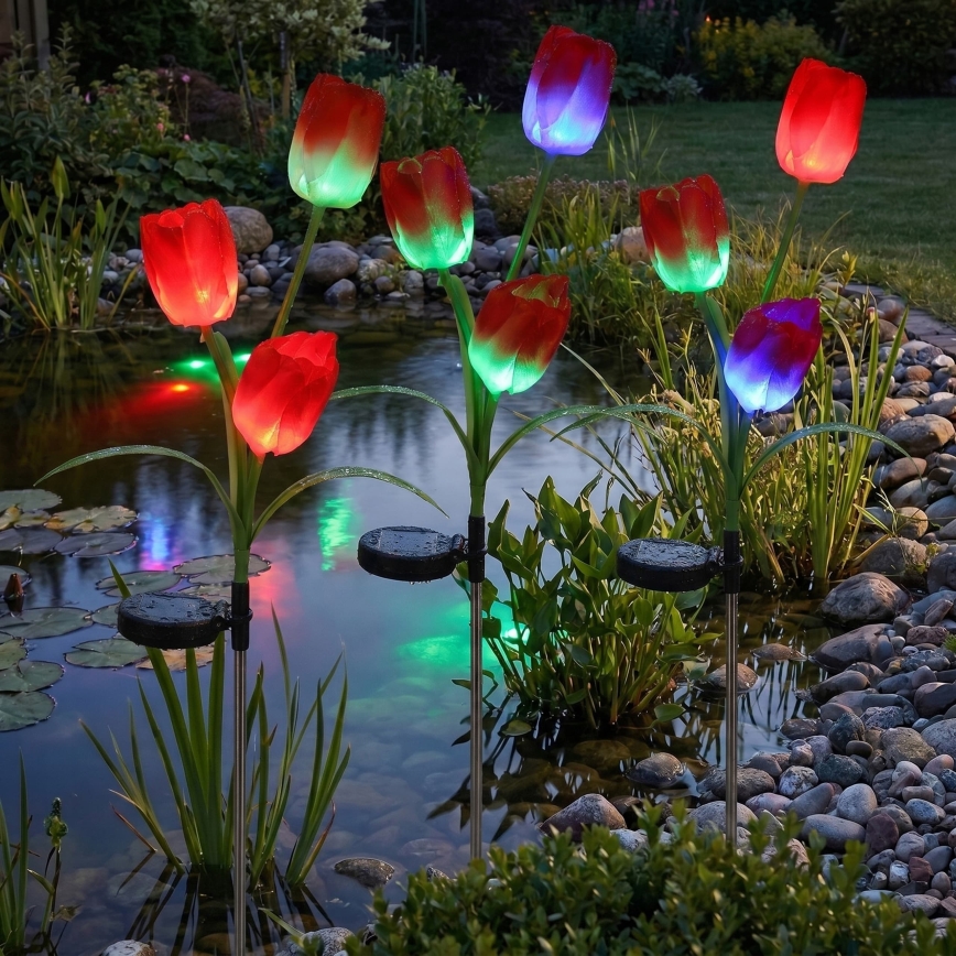 LED RGB solar decorative light 3xLED/3.7V 200 mAh IP44 tulip
