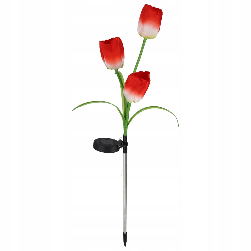 LED RGB solar decorative light 3xLED/3.7V 200 mAh IP44 tulip