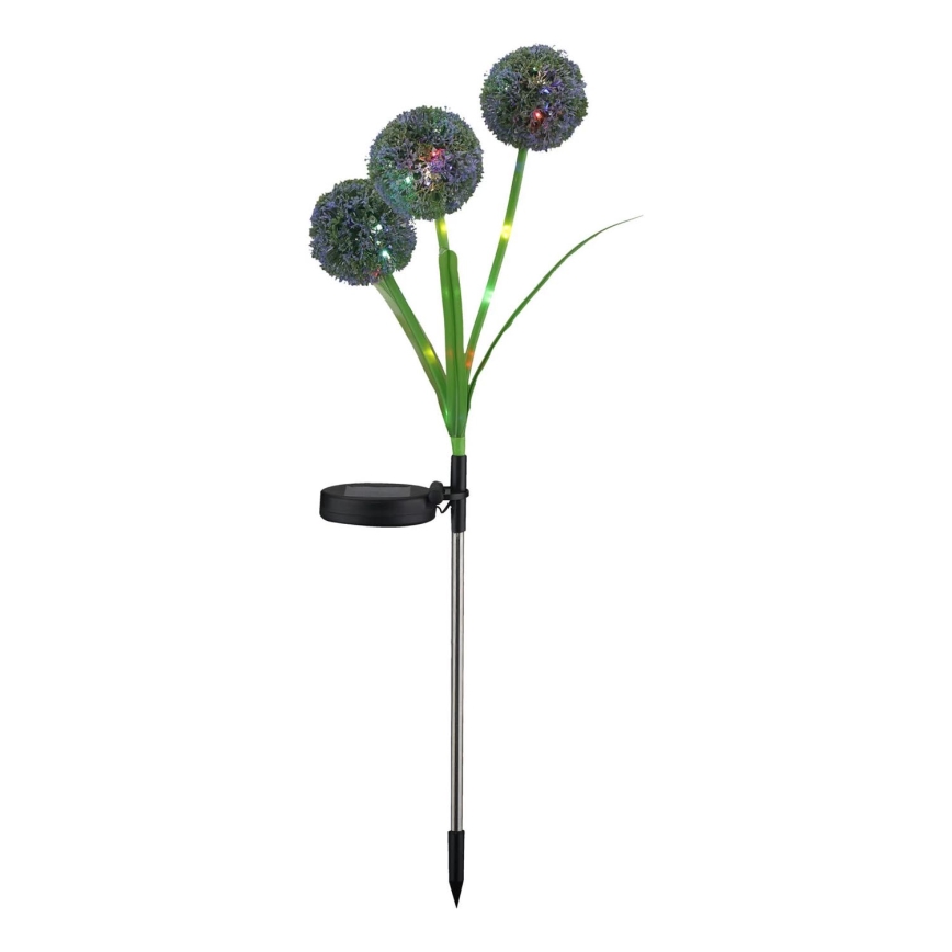 LED RGB Solar light ALLIUM LED/1,2V 6500 600 mAh IP44 black