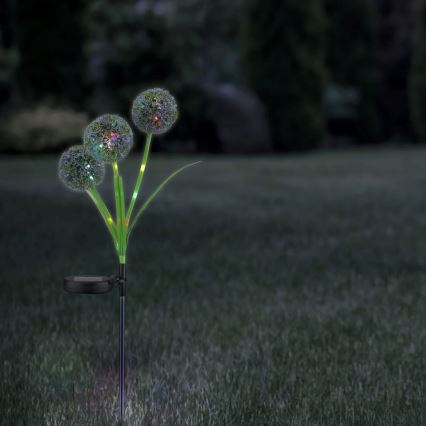 LED RGB Solar light ALLIUM LED/1,2V 6500 600 mAh IP44 black