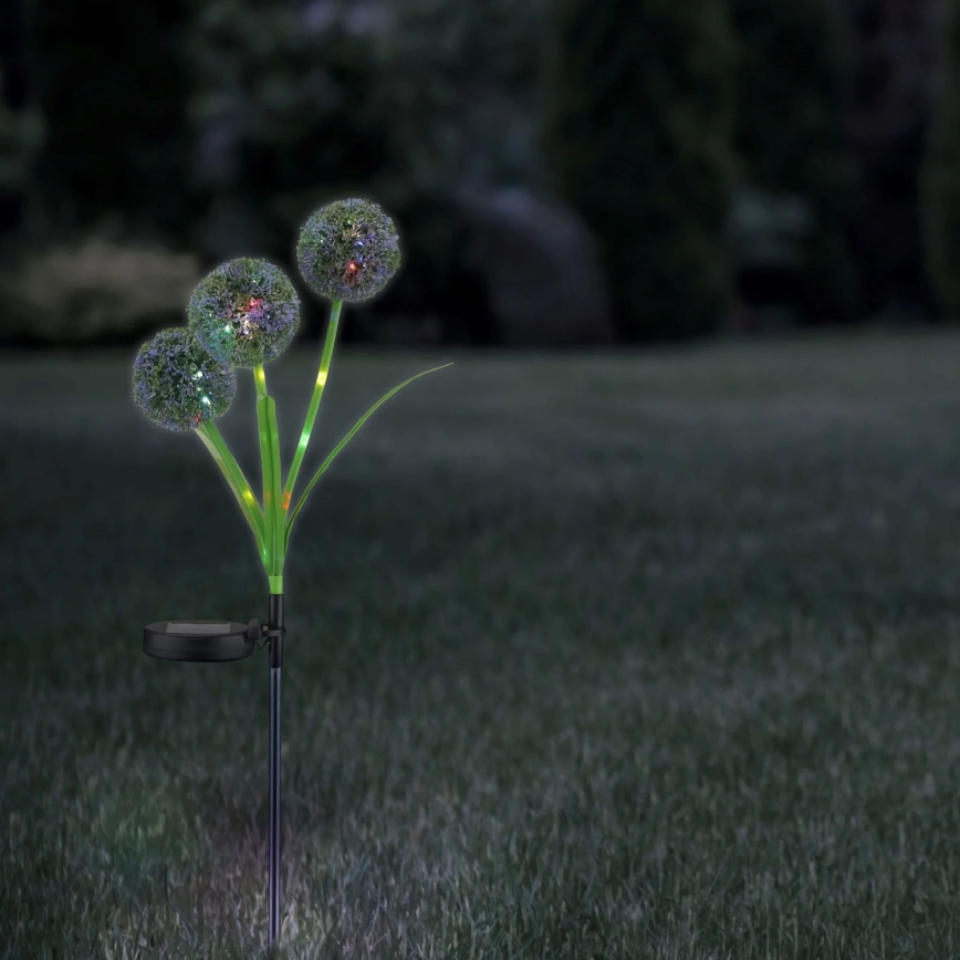 LED RGB Solar light ALLIUM LED/1,2V 6500 600 mAh IP44 black