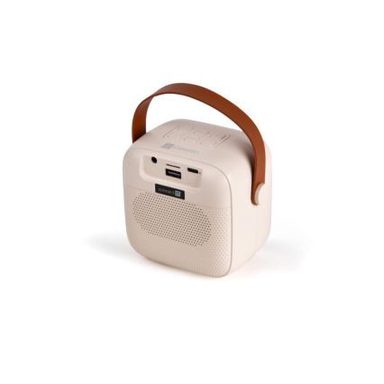 CONNECT IT CSP-1010-BG - LED RGB Speaker with 2 Wireless Microphones 5W/1200 mAh + 2x 400 mAh cream/gold