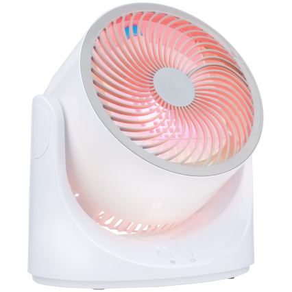 LED RGB Table Fan with Mist Effect 5V