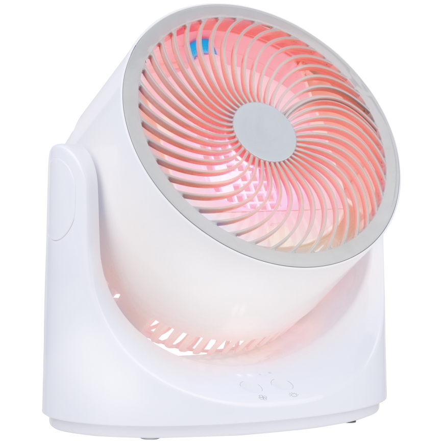 LED RGB Table Fan with Mist Effect 5V