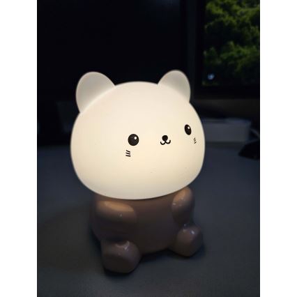 LED RGBW Children's touch lamp LED/1W/5V USB 1200 mAh cat