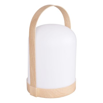 LED RGBW Decorative Table Lamp MINORKA LED/0.3W/4.5V 3xAA