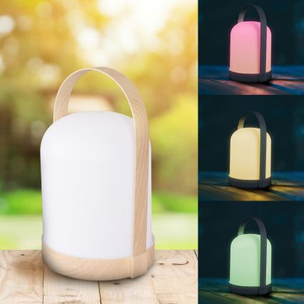 LED RGBW Decorative Table Lamp MINORKA LED/0.3W/4.5V 3xAA