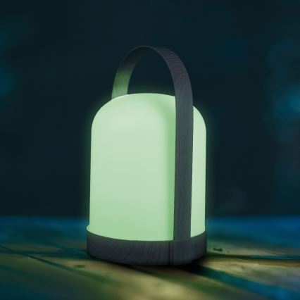 LED RGBW Decorative Table Lamp MINORKA LED/0.3W/4.5V 3xAA