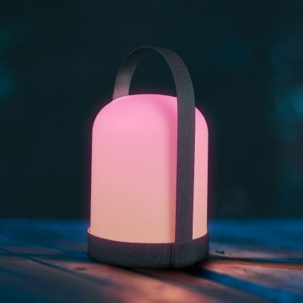 LED RGBW Decorative Table Lamp MINORKA LED/0.3W/4.5V 3xAA