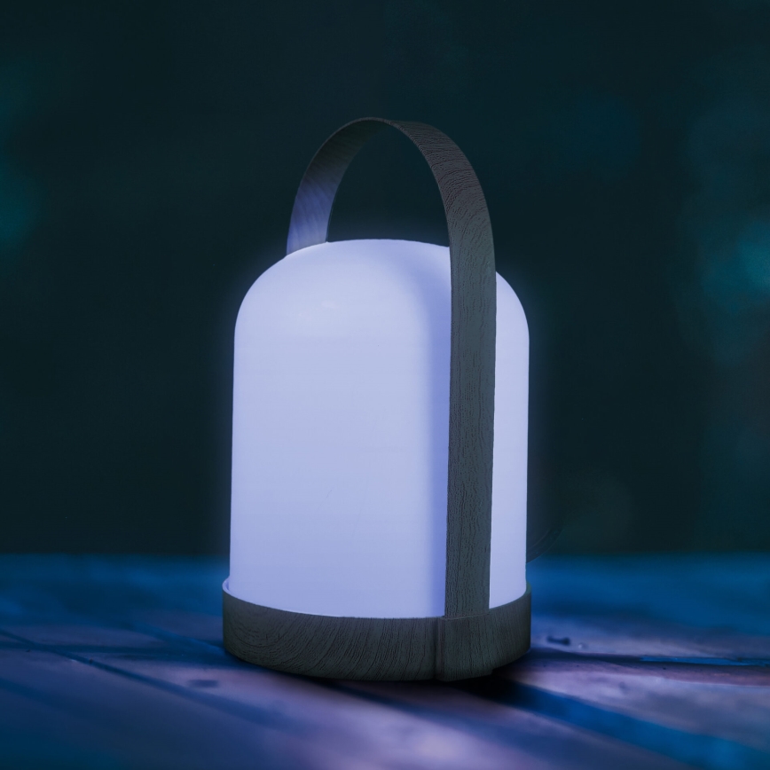LED RGBW Decorative Table Lamp MINORKA LED/0.3W/4.5V 3xAA