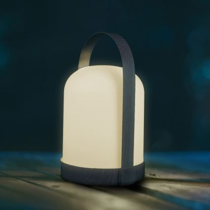 LED RGBW Decorative Table Lamp MINORKA LED/0.3W/4.5V 3xAA