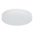 LED RGBW Dimmable bathroom ceiling light LED/20W/230V Wi-Fi IP44 white