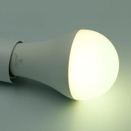 LED RGBW Dimmable bulb A60 E27/15W/230V 2700-6500K Wi-Fi Tuya