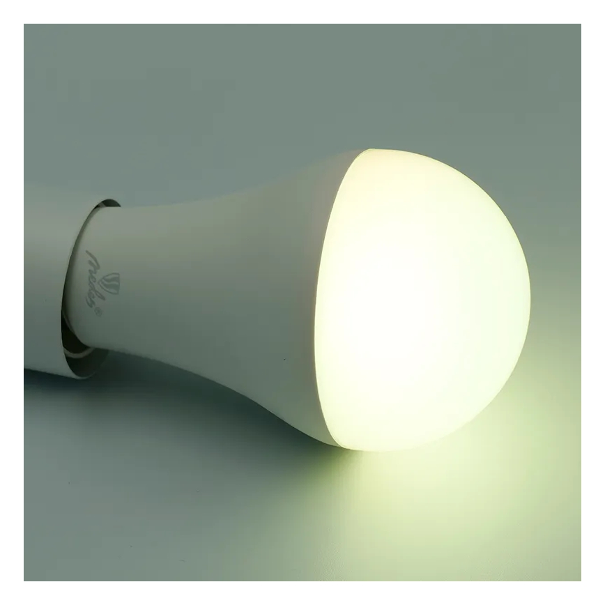 LED RGBW Dimmable bulb A60 E27/15W/230V 2700-6500K Wi-Fi Tuya