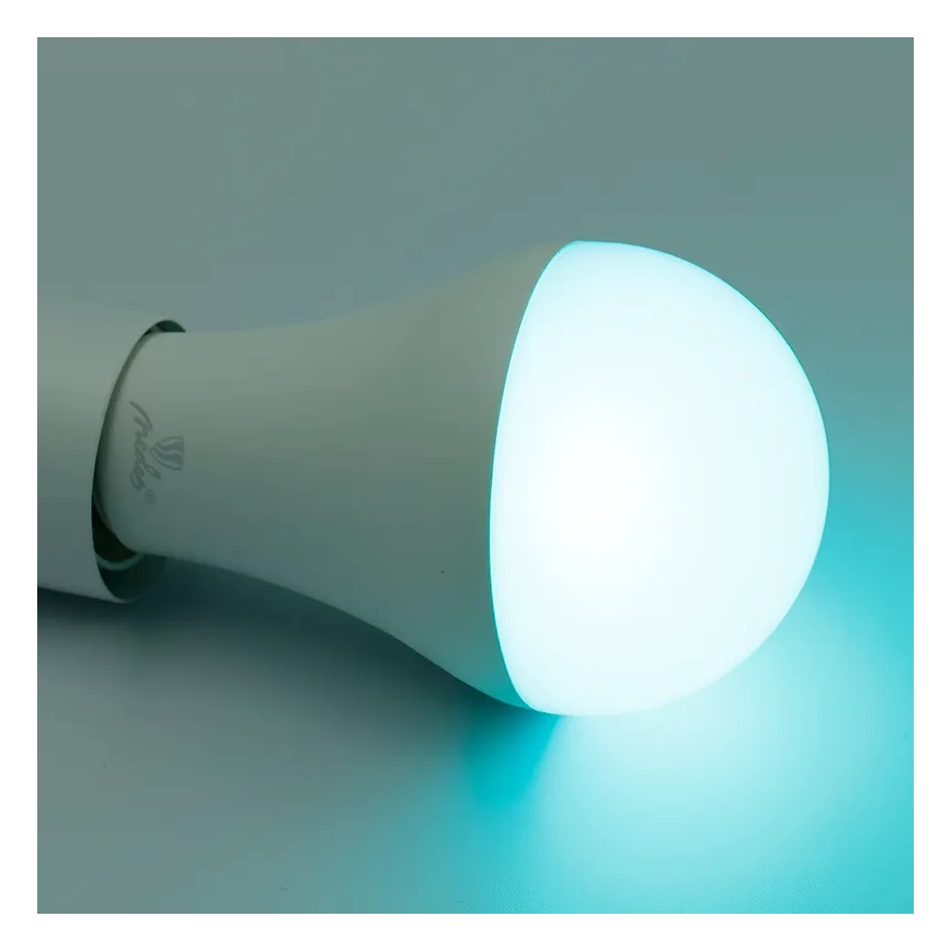 LED RGBW Dimmable bulb A60 E27/15W/230V 2700-6500K Wi-Fi Tuya