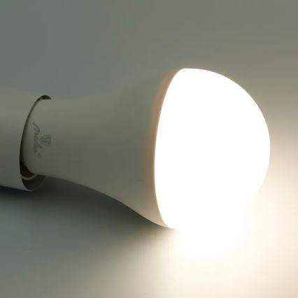 LED RGBW Dimmable bulb A60 E27/15W/230V 2700-6500K Wi-Fi Tuya