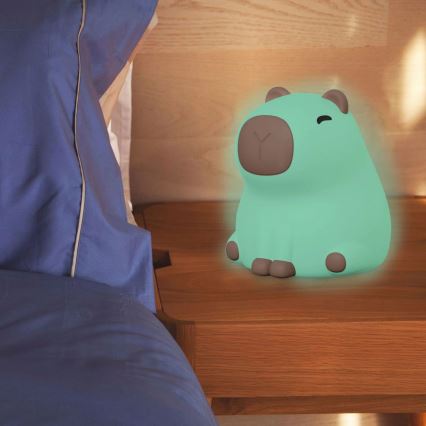 LED RGBW Dimmable children's touch lamp LED/1W/5V USB 1200 mAh capybara