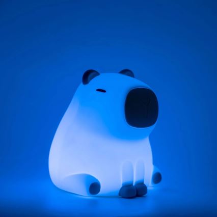 LED RGBW Dimmable children's touch lamp LED/1W/5V USB 1200 mAh capybara