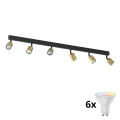 LED RGBW Dimmable Spot Light TOP 6xGU10/6,5W/230V 2700-6500K gold/black