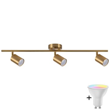 LED RGBW Dimmable Spotlight GOLDI 3xGU10/6,5W/230V 2700-6500K Wi-Fi Gold