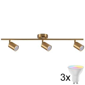 LED RGBW Dimmable Spotlight GOLDIE 3x GU10/4.8W/230V 3000K Gold + Remote Control