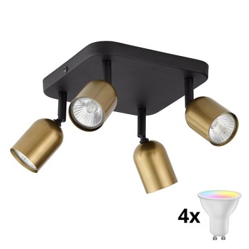 LED RGBW Dimmable Spotlight TOP 4x GU10/6.5W/230V 2700-6500K Gold/Black