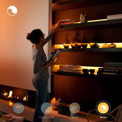 LED RGBW Dimmable strip Philips Hue WHITE AND COLOR AMBIANCE 1m LED/11W/12V