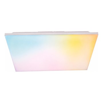 LED RGBW Dimmable Surface-Mounted Panel LED/24W/230V 2700-6500K White + Remote Control