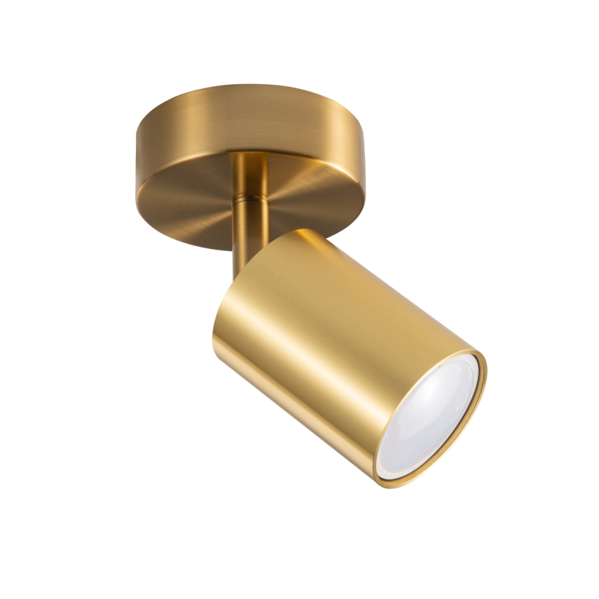 LED RGBW Dimmable Wall Spotlight GOLDI 1x GU10/4,8W/230V 3000K Gold + Remote Control