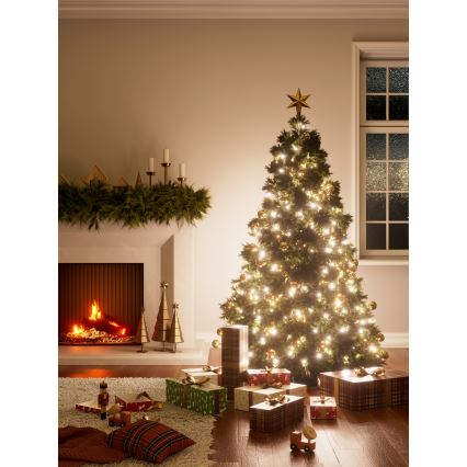 Nanoleaf - LED RGBW Outdoor Christmas chain ESSENTIALS 250xLED 2x10m 2700-6500K Wi-Fi IP44