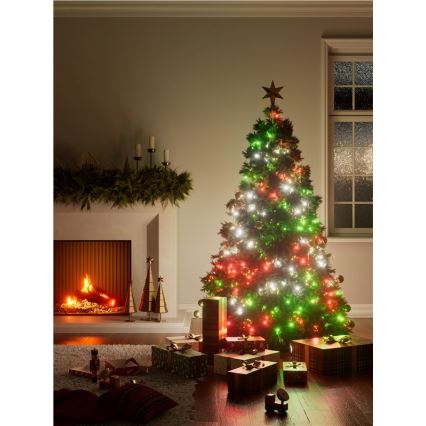 Nanoleaf - LED RGBW Outdoor Christmas chain ESSENTIALS 250xLED 2x10m 2700-6500K Wi-Fi IP44