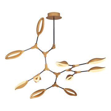 LED Rod Chandelier ASTI 10xLED/7W/230V 3000K Gold