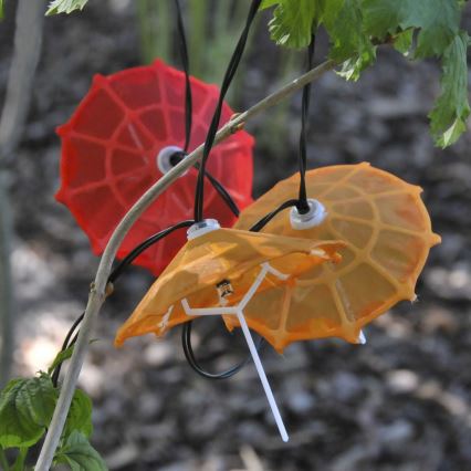 LED Solar chain 10xLED/1,2V 300 mAh 3,8 m IP44 umbrellas
