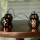 LED Solar chain 60xLED/2m IP44