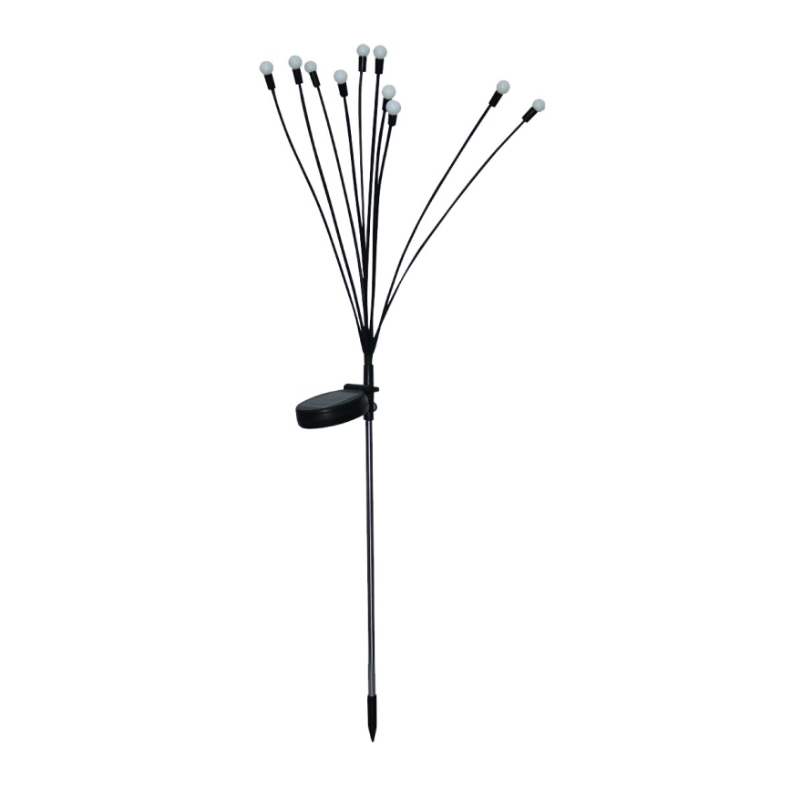 LED Solar decorative light 10xLED/1,2V 3000K 73 cm IP44