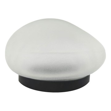 LED Solar Lamp 2x LED/1.2 V 300 mAh IP44 black/white