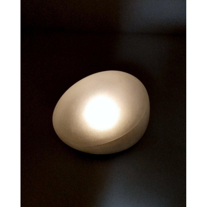 LED Solar Lamp 2x LED/1.2 V 300 mAh IP44 black/white