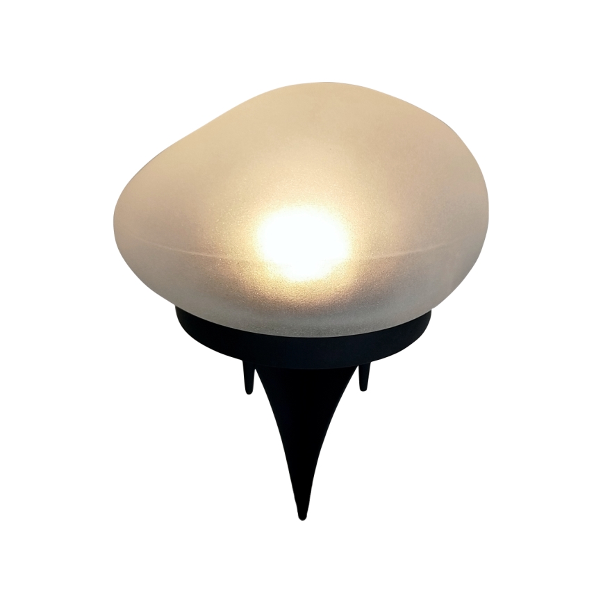 LED Solar Lamp 2x LED/1.2 V 300 mAh IP44 black/white