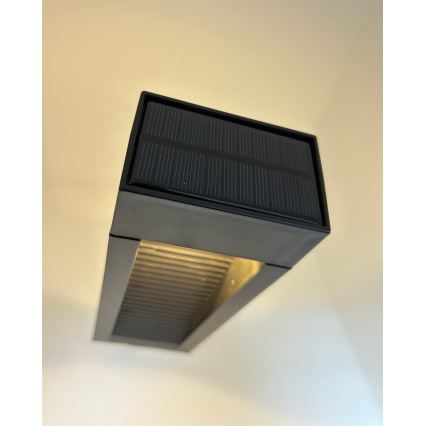 LED Solar Lamp 2xLED/1.2V 200 mAh IP44 Black