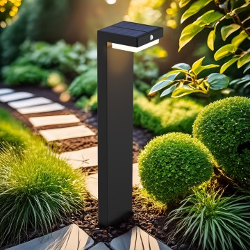 LED Solar lamp with a motion and dusk sensor PALERMO LED/5W/2000 mAh IP54 black