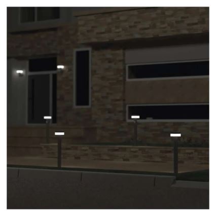 LED Solar lamp with sensor LED/2W/3,7V 1200 mAh IP44 50 cm