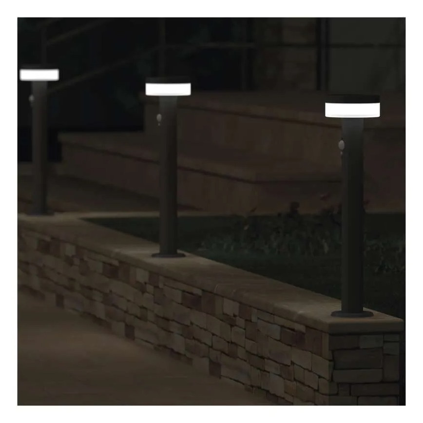 LED Solar lamp with sensor LED/2W/3,7V 1200 mAh IP44 50 cm